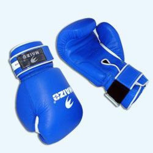 Training boxing gloves